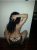 Doğal Güzellik Escort Yıldız - Image 2